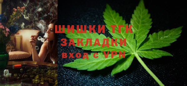 спайс Вяземский