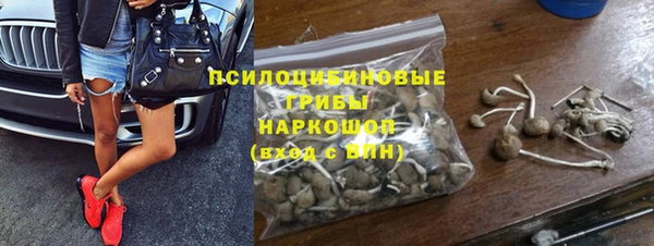 спайс Вяземский