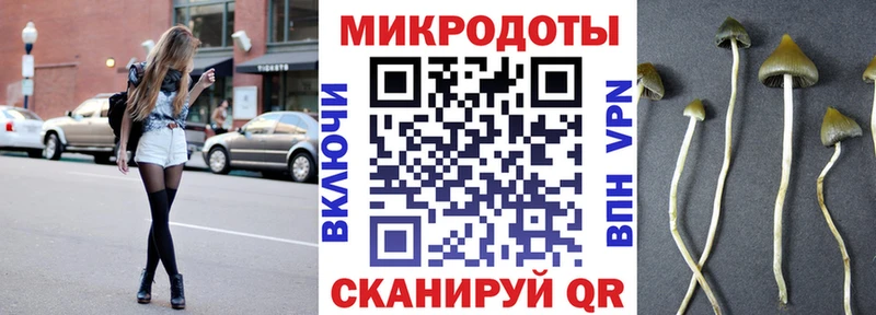 Псилоцибиновые грибы мицелий Майкоп