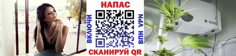Шишки марихуана OG Kush  Майкоп 